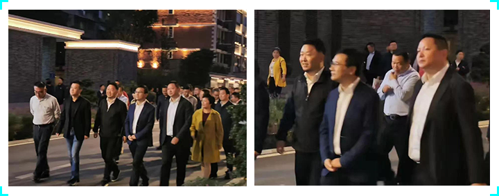 成都市副市长刘玉泉视察枣子巷中医药文化特色街区