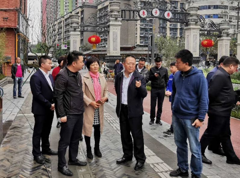 金牛区区委书记金城视察枣子巷中医文化特色街区