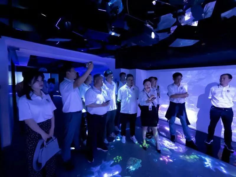 长江精英 再聚安博站官网